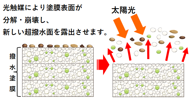 サンプル
